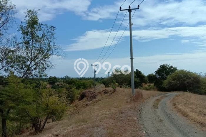Tanah di Kubutambahan, Buleleng Luas 15000m2 Dijual Segera Tanah di Kubutambahan, Buleleng Luas 15000m2 Dijual Segera
