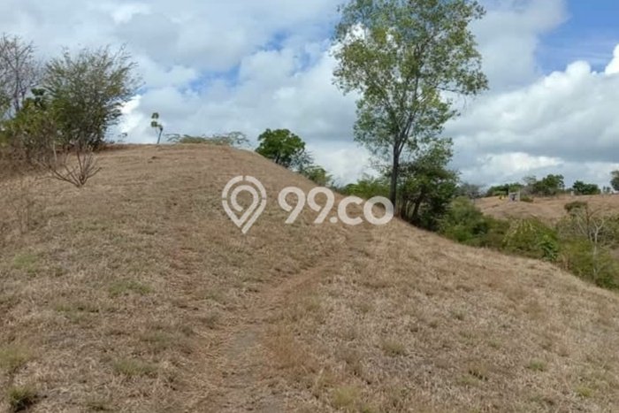 Tanah di Kubutambahan, Buleleng Luas 15000m2 Dijual Segera Tanah di Kubutambahan, Buleleng Luas 15000m2 Dijual Segera