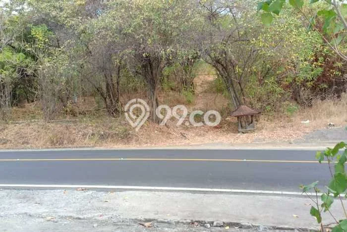 Untuk Dijual Tanah 16000m2 di Pacung, Buleleng Untuk Dijual Tanah 16000m2 di Pacung, Buleleng