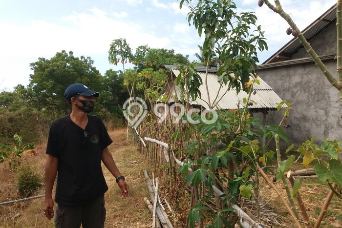 Lahan Kosong Dijual di Buleleng dengan Area 2300m2 Lahan Kosong Dijual di Buleleng dengan Area 2300m2