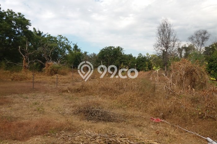 Lahan Kosong Dijual di Buleleng dengan Area 2300m2 Lahan Kosong Dijual di Buleleng dengan Area 2300m2