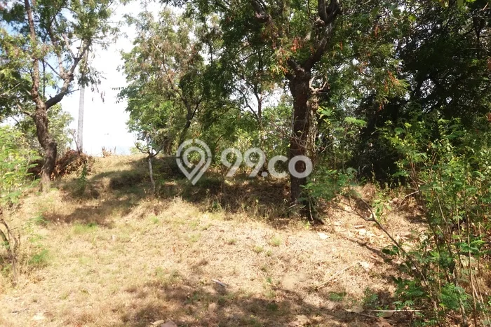 Dijual Tanah 12500m2 di Bukti, Buleleng Dijual Tanah 12500m2 di Bukti, Buleleng