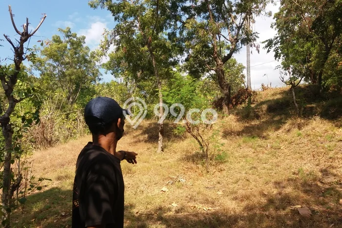 Dijual Tanah 12500m2 di Bukti, Buleleng Dijual Tanah 12500m2 di Bukti, Buleleng