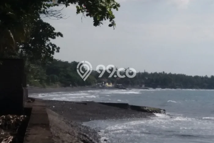Tanah Kavling Dijual di Buleleng dengan Spesifikasi 3200m2 Tanah Kavling Dijual di Buleleng dengan Spesifikasi 3200m2