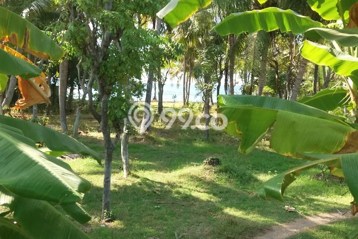 Tanah Kavling Dijual di Buleleng dengan Spesifikasi 3200m2 Tanah Kavling Dijual di Buleleng dengan Spesifikasi 3200m2