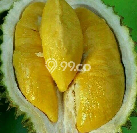 Kebun Buah Durian Produktif 2,85 Ha di Cintamanik, Cigudeg, Bogor Kebun Buah Durian Produktif 2,85 Ha di Cintamanik, Cigudeg, Bogor
