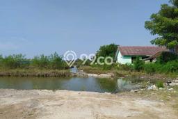 Tanah untuk Dijual Lokasi Kasemen, Serang Luas 61750m2 Lain-lain Tanah untuk Dijual Lokasi Kasemen, Serang Luas 61750m2 Lain-lain