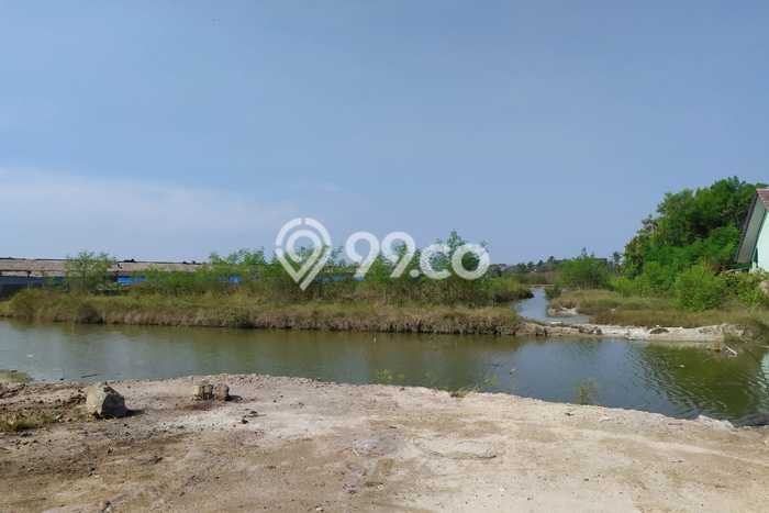 Kavling Tanah di Kasemen Dijual Luas 61750m2 Legalitas Lain-lain Kavling Tanah di Kasemen Dijual Luas 61750m2 Legalitas Lain-lain