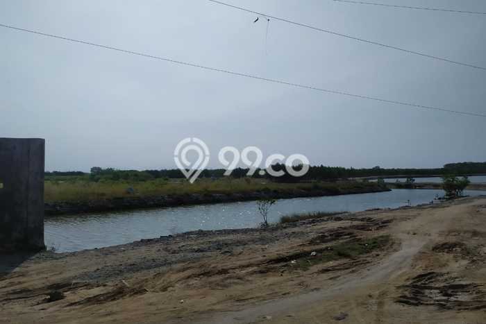 Kavling Tanah di Kasemen Dijual Luas 61750m2 Legalitas Lain-lain Kavling Tanah di Kasemen Dijual Luas 61750m2 Legalitas Lain-lain