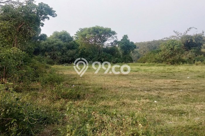 Tanah Dijual Lokasi Sindang Jaya, Tangerang dengan Luas Tanah 2200m2 dan Status SHM Tanah Dijual Lokasi Sindang Jaya, Tangerang dengan Luas Tanah 2200m2 dan Status SHM