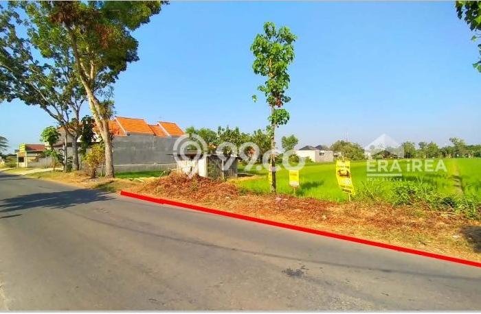 Kavling Tanah Dijual di Karangmalang Sragen Spesifikasi 2520m2 Kavling Tanah Dijual di Karangmalang Sragen Spesifikasi 2520m2