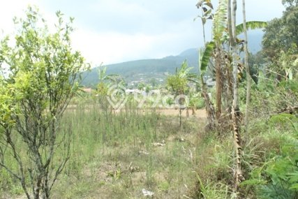 Dijual Tanah Lokasi Bedugul, Tabanan Seluas 10000m2 Dijual Tanah Lokasi Bedugul, Tabanan Seluas 10000m2