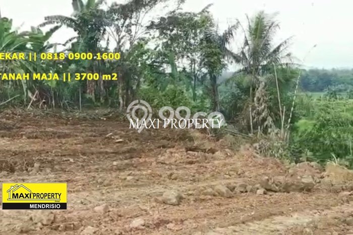 Tanah Dijual Lokasi Maja, Lebak dengan Luas Tanah 3700m2 dan Status SHM Tanah Dijual Lokasi Maja, Lebak dengan Luas Tanah 3700m2 dan Status SHM