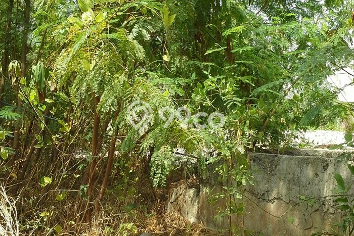 Dijual Tanah 800m2 di Ancol, Jakarta Utara Dijual Tanah 800m2 di Ancol, Jakarta Utara