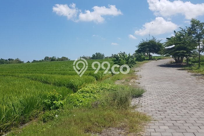 Tanah Lokasi Strategis Kawasan Beraban, Luas 18895m2m², Akses ke Fasilitas Tanah Lokasi Strategis Kawasan Beraban, Luas 18895m2m², Akses ke Fasilitas