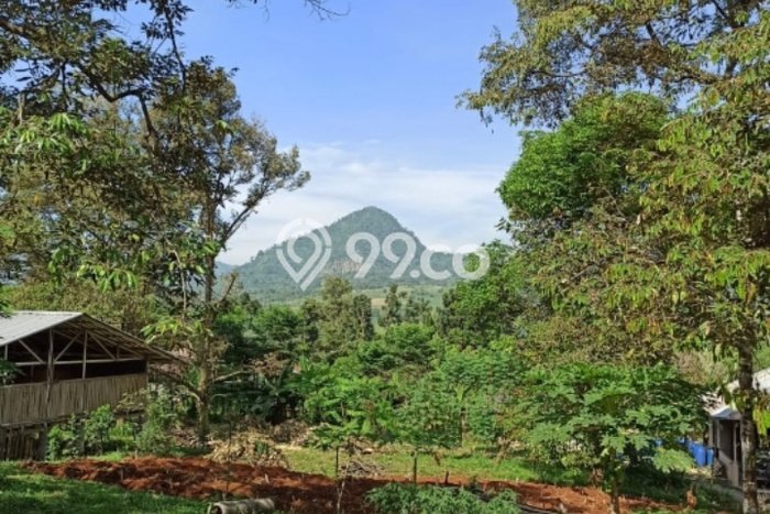 Lahan Kosong Dijual di Bogor dengan Area 9463m2 Lahan Kosong Dijual di Bogor dengan Area 9463m2