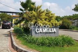 Tanah Dijual di Serang Seluas 732m2 Strategis Tanah Dijual di Serang Seluas 732m2 Strategis