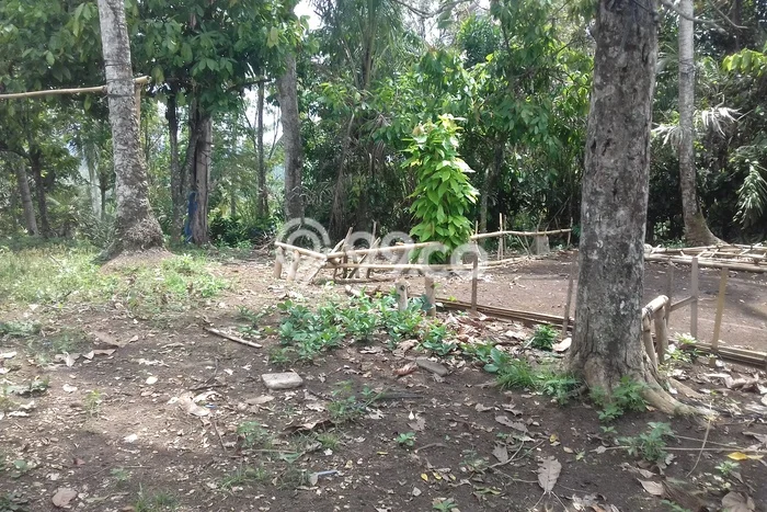 Tanah di Bajera, Luas 6000m², Lokasi Potensial, Kawasan Asri Tanah di Bajera, Luas 6000m², Lokasi Potensial, Kawasan Asri