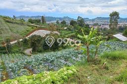 Tanah Kavling Dijual di Bandung dengan Spesifikasi 5350m2 Tanah Kavling Dijual di Bandung dengan Spesifikasi 5350m2