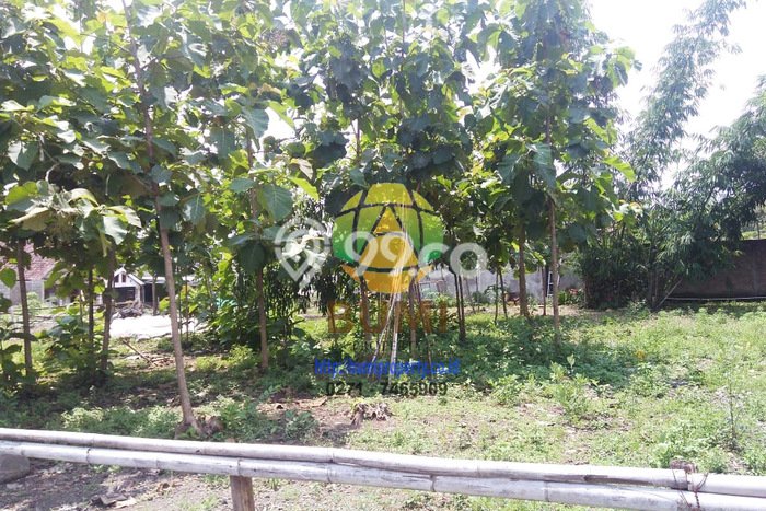 Kavling Tanah di Gondangrejo Dijual Luas 648m2 Legalitas Lain-lain Kavling Tanah di Gondangrejo Dijual Luas 648m2 Legalitas Lain-lain