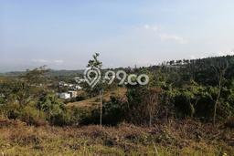 Kavling Tanah di Pandaan Dijual Luas 1235m2 Legalitas - Kavling Tanah di Pandaan Dijual Luas 1235m2 Legalitas -