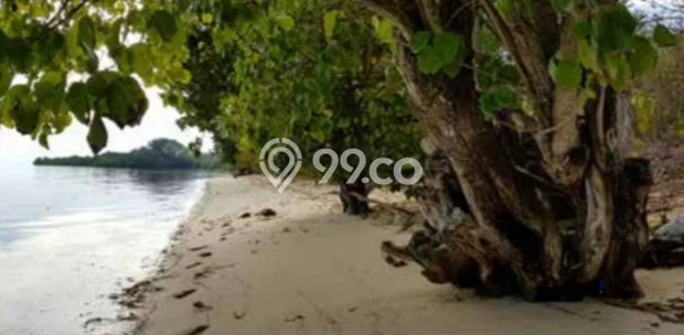 Kavling Tanah Dijual di Boleng Manggarai Barat Spesifikasi 40000m2 Kavling Tanah Dijual di Boleng Manggarai Barat Spesifikasi 40000m2
