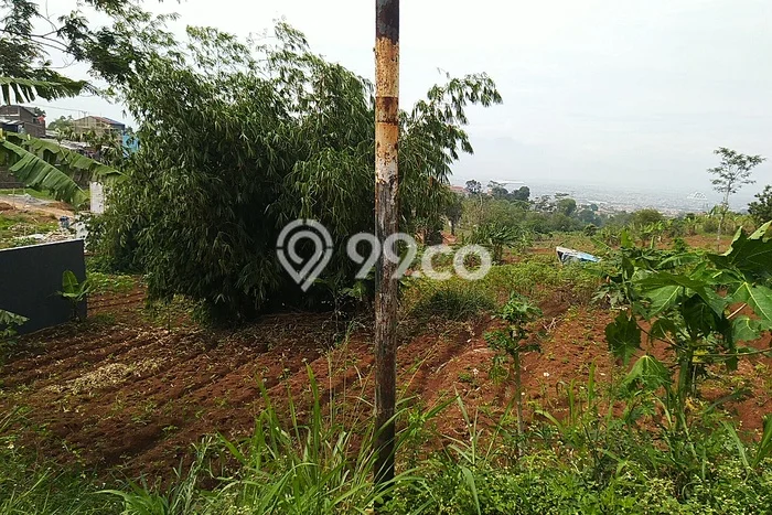Kavling Tanah Dijual di Cibiru Bandung Spesifikasi 301m2 Kavling Tanah Dijual di Cibiru Bandung Spesifikasi 301m2
