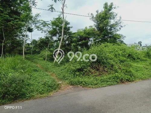 Tanah Dijual Lokasi Purwokerto Selatan, Banyumas Luas 2543m2 Legalitas Aman Tanah Dijual Lokasi Purwokerto Selatan, Banyumas Luas 2543m2 Legalitas Aman