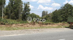 Tanah Area Berkembang di Gondangrejo, Luas 2700m², Akses ke Pusat Kota, Akses Gondangrejo, Karanganyar, Karanganyar Tanah Area Berkembang di Gondangrejo, Luas 2700m², Akses ke Pusat Kota, Akses Gondangrejo, Karanganyar, Karanganyar