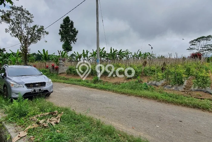 Kavling Tanah Dijual di Baturiti, Tabanan, Luas 2850m2 Area Strategis Kavling Tanah Dijual di Baturiti, Tabanan, Luas 2850m2 Area Strategis