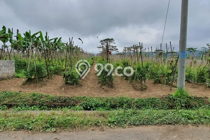 Kavling Tanah Dijual di Baturiti, Tabanan, Luas 2850m2 Area Strategis Kavling Tanah Dijual di Baturiti, Tabanan, Luas 2850m2 Area Strategis