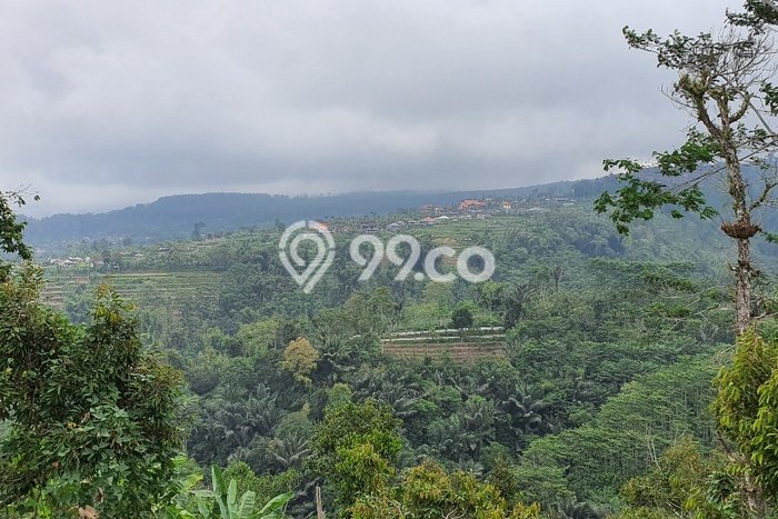 Kavling Tanah Dijual di Baturiti, Tabanan, Luas 2850m2 Area Strategis Kavling Tanah Dijual di Baturiti, Tabanan, Luas 2850m2 Area Strategis