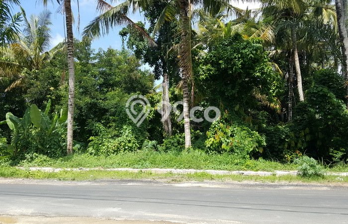Tanah Dijual Area Strategis di Samsam Tabanan 6000m2 Tanah Dijual Area Strategis di Samsam Tabanan 6000m2