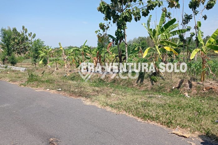 Untuk Dijual Tanah di Banyudono Boyolali Luas 957m2 Lain-lain Untuk Dijual Tanah di Banyudono Boyolali Luas 957m2 Lain-lain