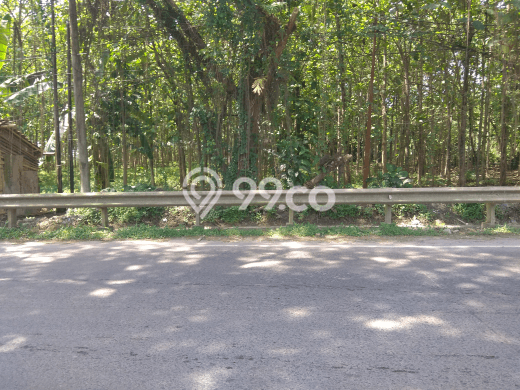 Kavling Tanah Dijual di Rangkasbitung Lebak Spesifikasi 40400m2 Kavling Tanah Dijual di Rangkasbitung Lebak Spesifikasi 40400m2