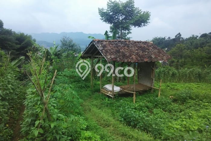 Tanah di Ciwidey, Bandung Luas 10000m2 Dijual Segera Tanah di Ciwidey, Bandung Luas 10000m2 Dijual Segera