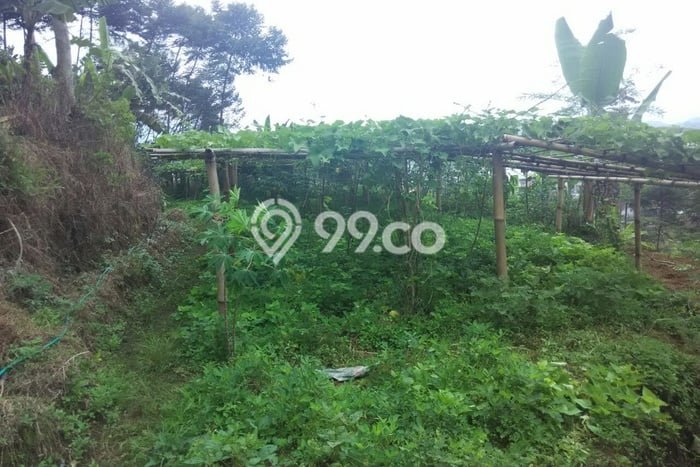 Tanah di Ciwidey, Bandung Luas 10000m2 Dijual Segera Tanah di Ciwidey, Bandung Luas 10000m2 Dijual Segera