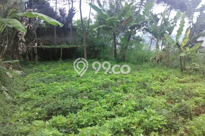 Tanah di Ciwidey, Bandung Luas 10000m2 Dijual Segera Tanah di Ciwidey, Bandung Luas 10000m2 Dijual Segera