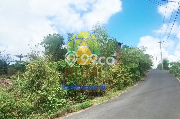 Tanah Strategis Dijual di Kuta Badung 1000m2 Tanah Strategis Dijual di Kuta Badung 1000m2