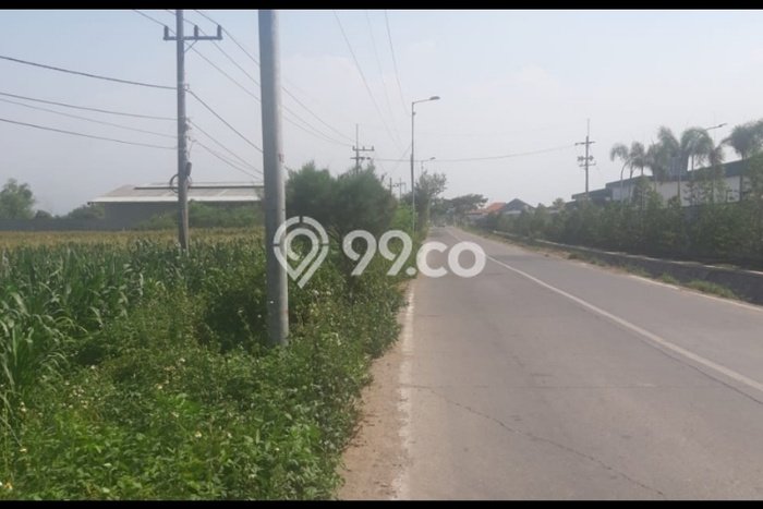 PRIME LOCATION! Tanah di Bangsal, Luas 20000m², Cocok untuk Investasi PRIME LOCATION! Tanah di Bangsal, Luas 20000m², Cocok untuk Investasi