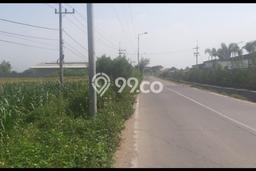 PRIME LOCATION! Tanah di Bangsal, Luas 20000m², Cocok untuk Investasi PRIME LOCATION! Tanah di Bangsal, Luas 20000m², Cocok untuk Investasi