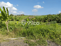 Kavling Tanah untuk Dijual di Cemagi, Badung, Luas 220m2 Kavling Tanah untuk Dijual di Cemagi, Badung, Luas 220m2