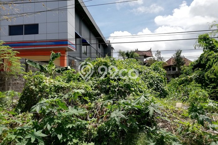 Tanah untuk Disewa di Badung Luas 2600m2 Tanah untuk Disewa di Badung Luas 2600m2