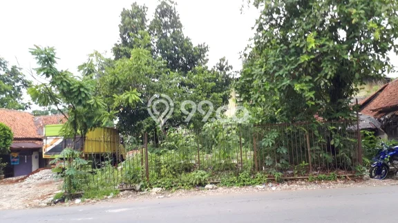 Lahan Investasi Lokasi Citeureup Bogor SHM Lahan Investasi Lokasi Citeureup Bogor SHM