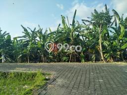 Tanah Area Berkembang di , Luas 600m2m², Kawasan Nyaman, Akses Badung, Badung Tanah Area Berkembang di , Luas 600m2m², Kawasan Nyaman, Akses Badung, Badung