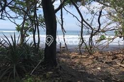 Tanah Kavling untuk Dijual di Pekutatan Jembrana 4100m2 Tanah Kavling untuk Dijual di Pekutatan Jembrana 4100m2