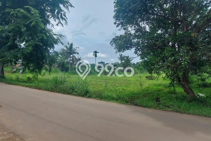 Tanah di Kemang, Bogor Luas 10000m2 Dijual Segera Tanah di Kemang, Bogor Luas 10000m2 Dijual Segera