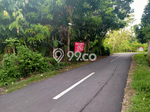 Tanah Kavling Dijual di Buleleng dengan Spesifikasi 800m2 Tanah Kavling Dijual di Buleleng dengan Spesifikasi 800m2