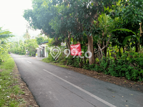 Tanah Kavling Dijual di Buleleng dengan Spesifikasi 800m2 Tanah Kavling Dijual di Buleleng dengan Spesifikasi 800m2
