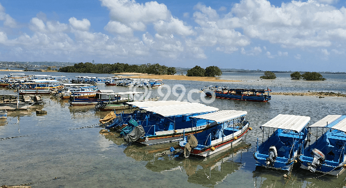 Tanah Kavling Dijual di Tanjung Benoa, Badung dengan Luas Tanah 1500m2 Tanah Kavling Dijual di Tanjung Benoa, Badung dengan Luas Tanah 1500m2